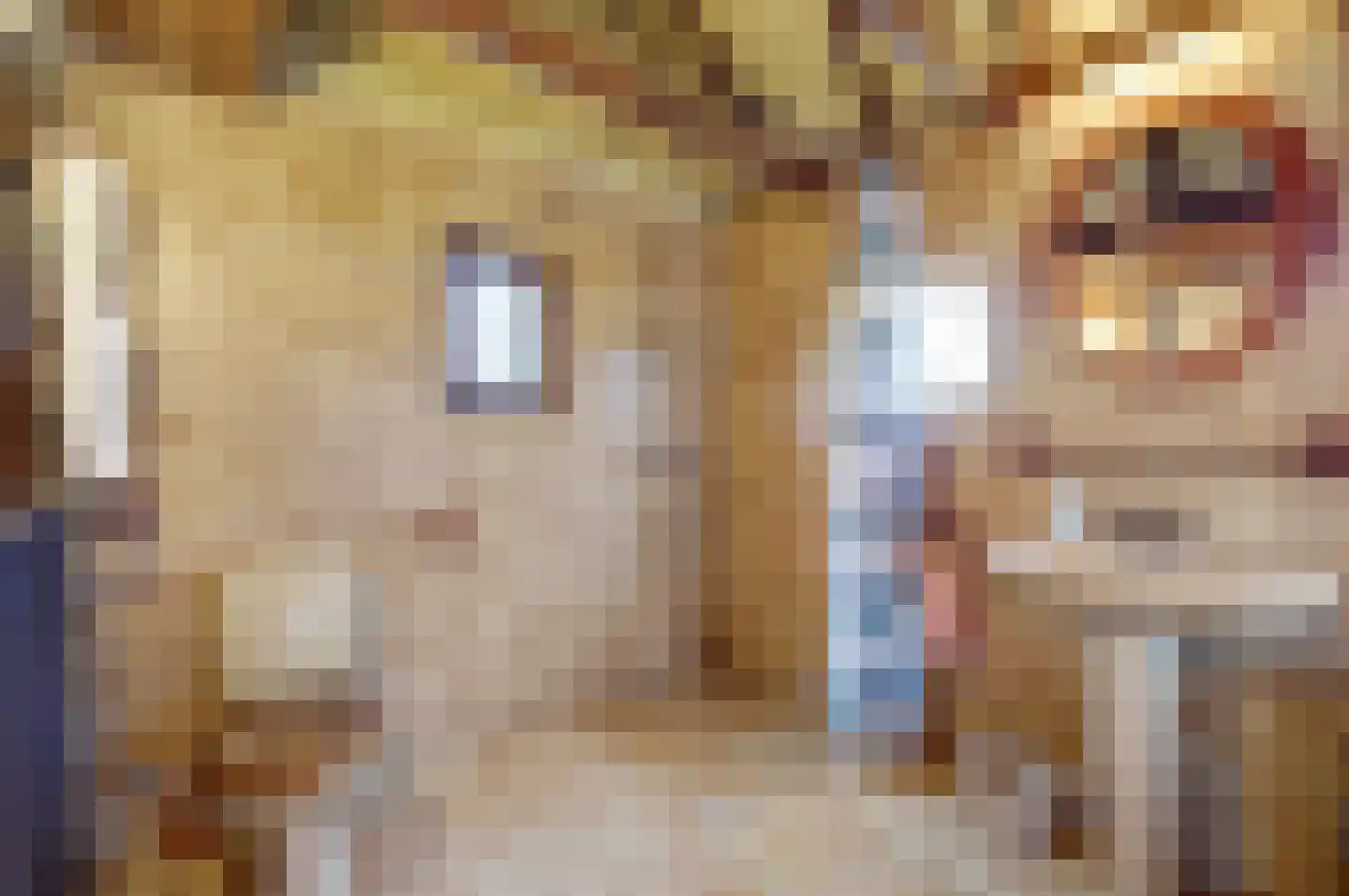 Veluwsedijk 20 Emst thumbnail 16