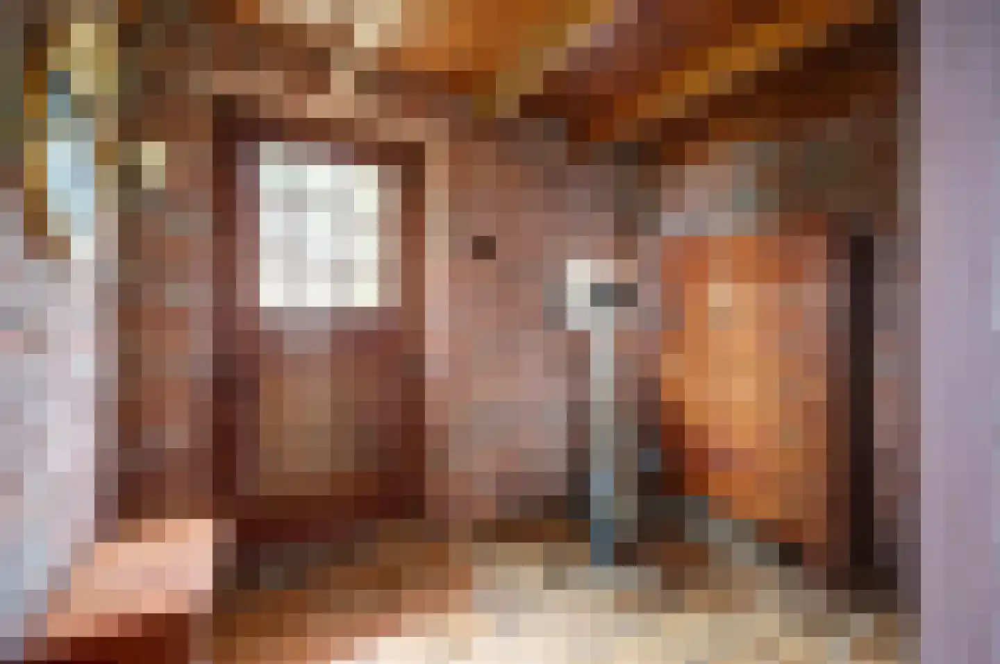 Veluwsedijk 20 Emst thumbnail 18