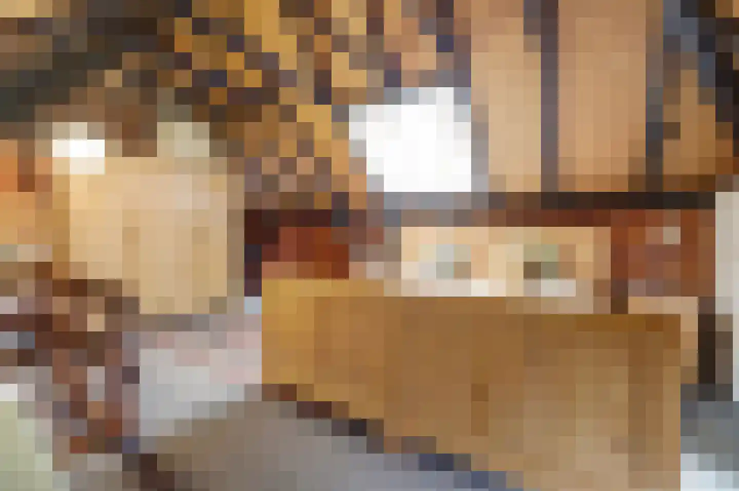 Veluwsedijk 20 Emst thumbnail 21