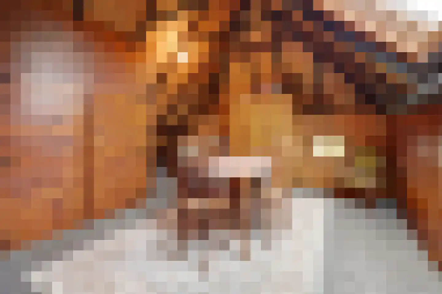 Veluwsedijk 20 Emst thumbnail 23