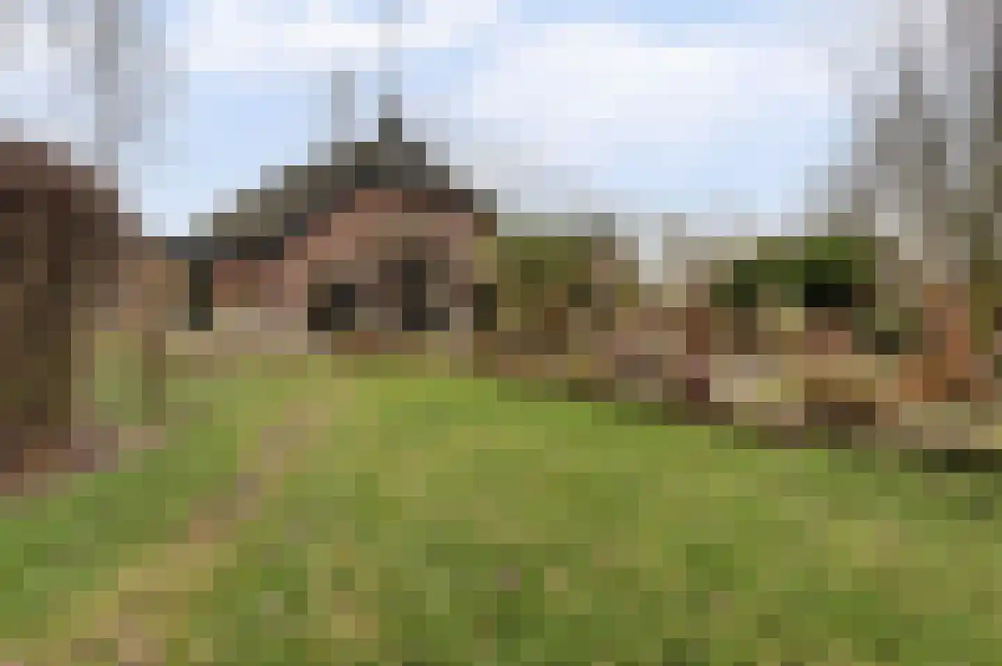 Veluwsedijk 20 Emst thumbnail 27
