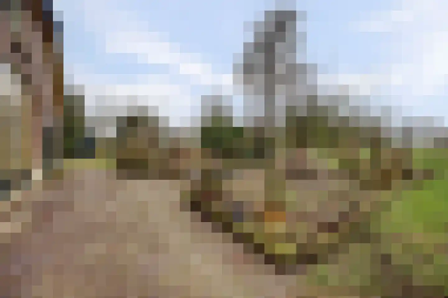 Veluwsedijk 20 Emst thumbnail 28