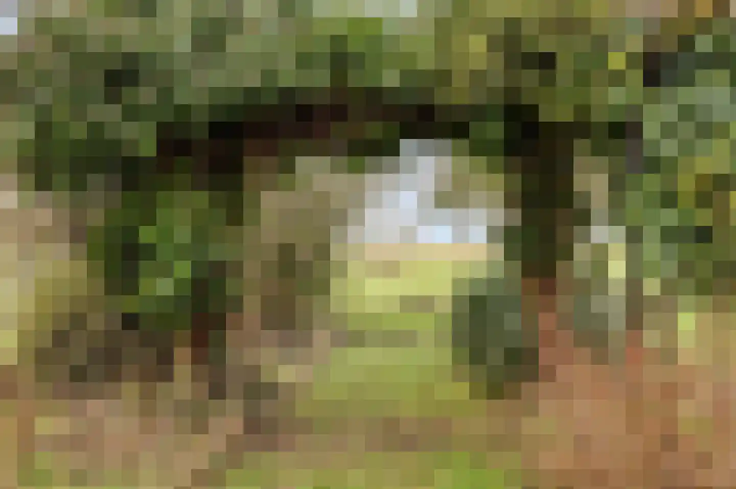 Veluwsedijk 20 Emst thumbnail 29
