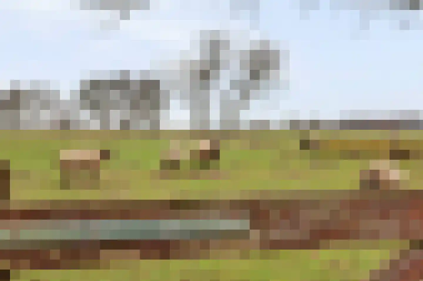 Veluwsedijk 20 Emst thumbnail 30