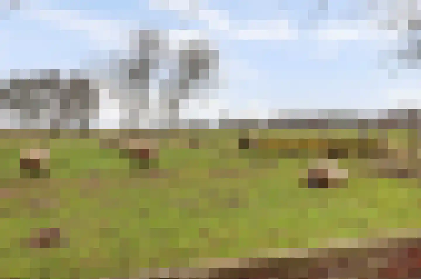 Veluwsedijk 20 Emst thumbnail 31