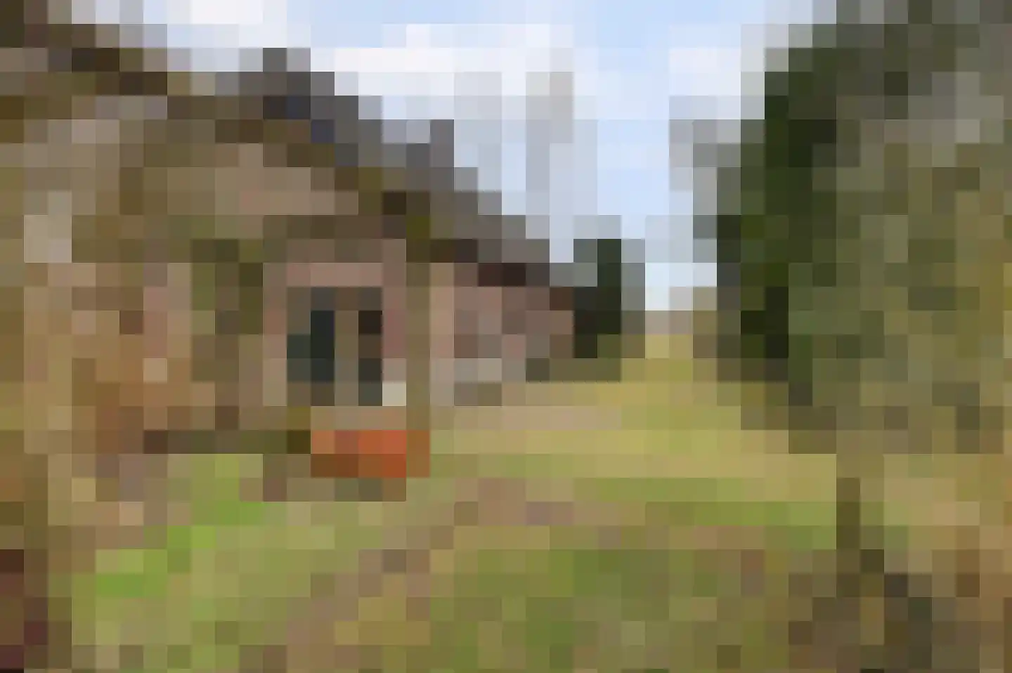 Veluwsedijk 20 Emst thumbnail 32
