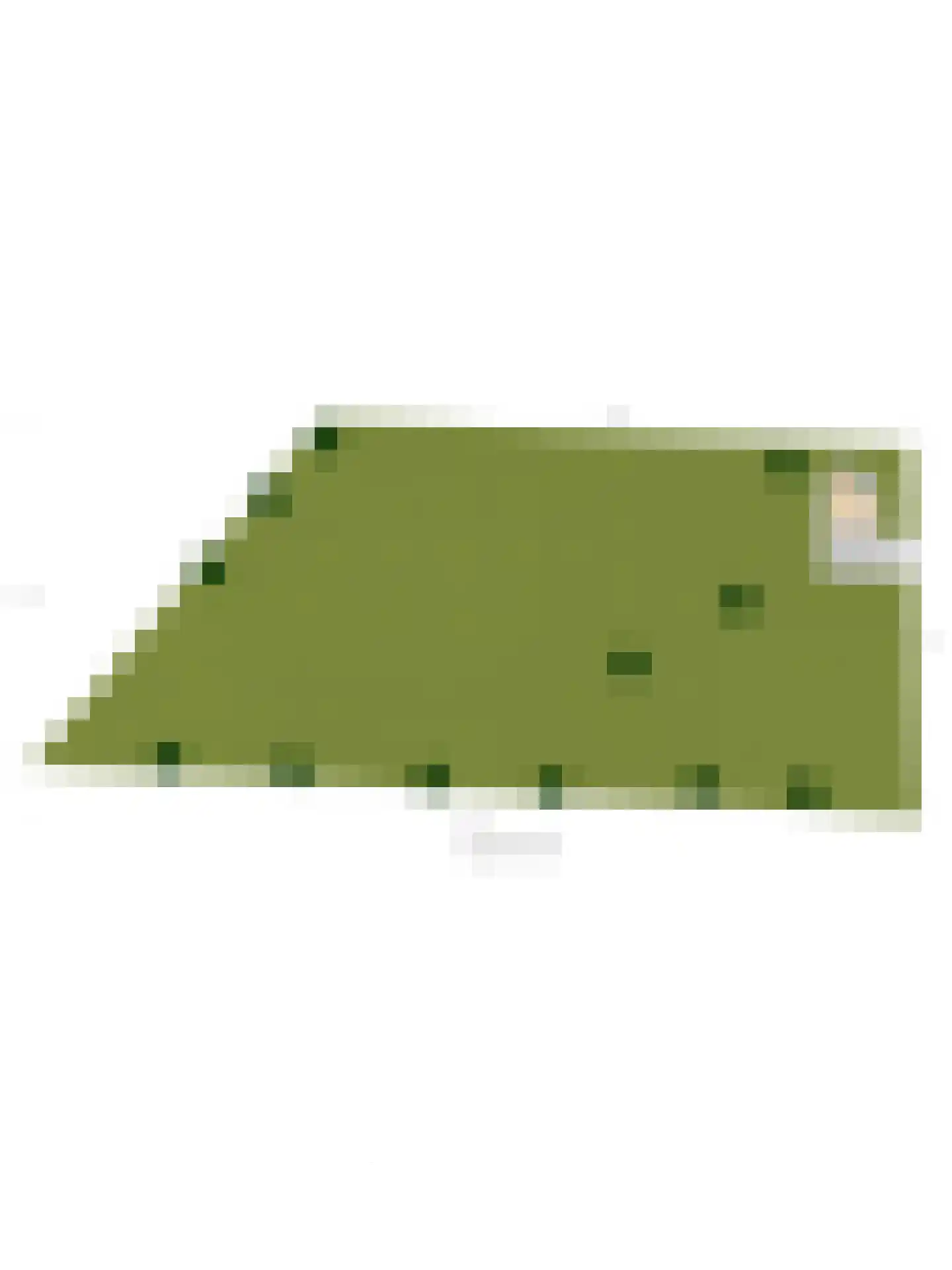 Veluwsedijk 20 Emst thumbnail 36