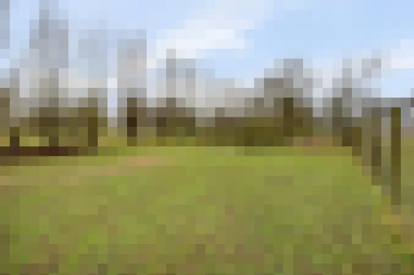 Veluwsedijk 20 Emst thumbnail 37