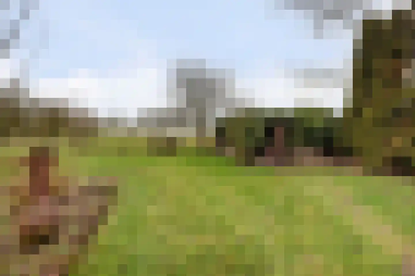 Veluwsedijk 20 Emst thumbnail 38
