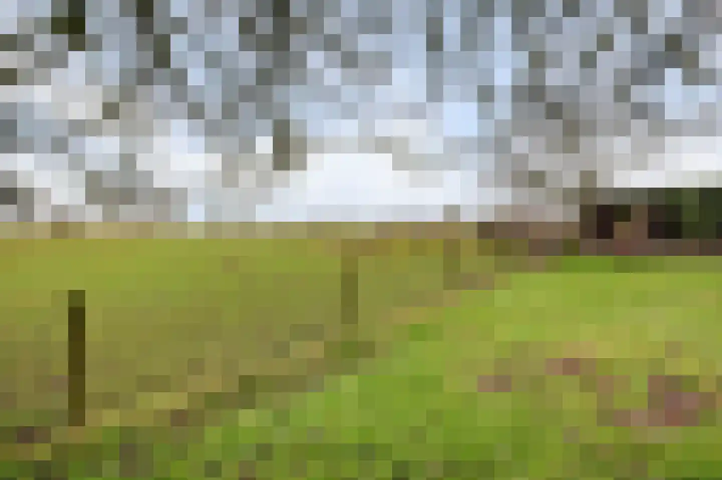 Veluwsedijk 20 Emst thumbnail 39