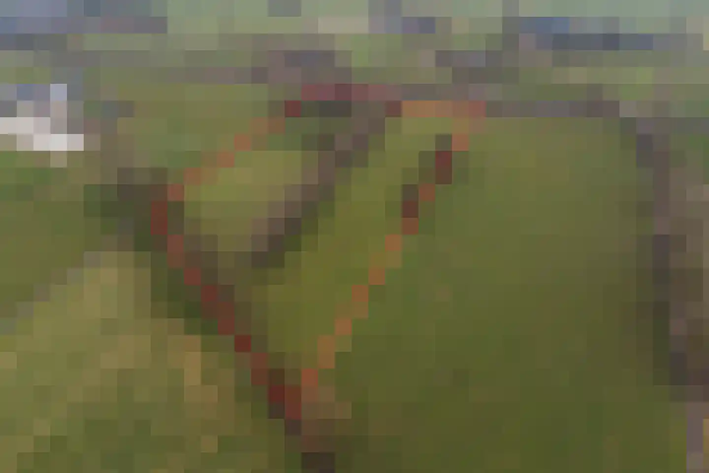 Veluwsedijk 20 Emst thumbnail 4