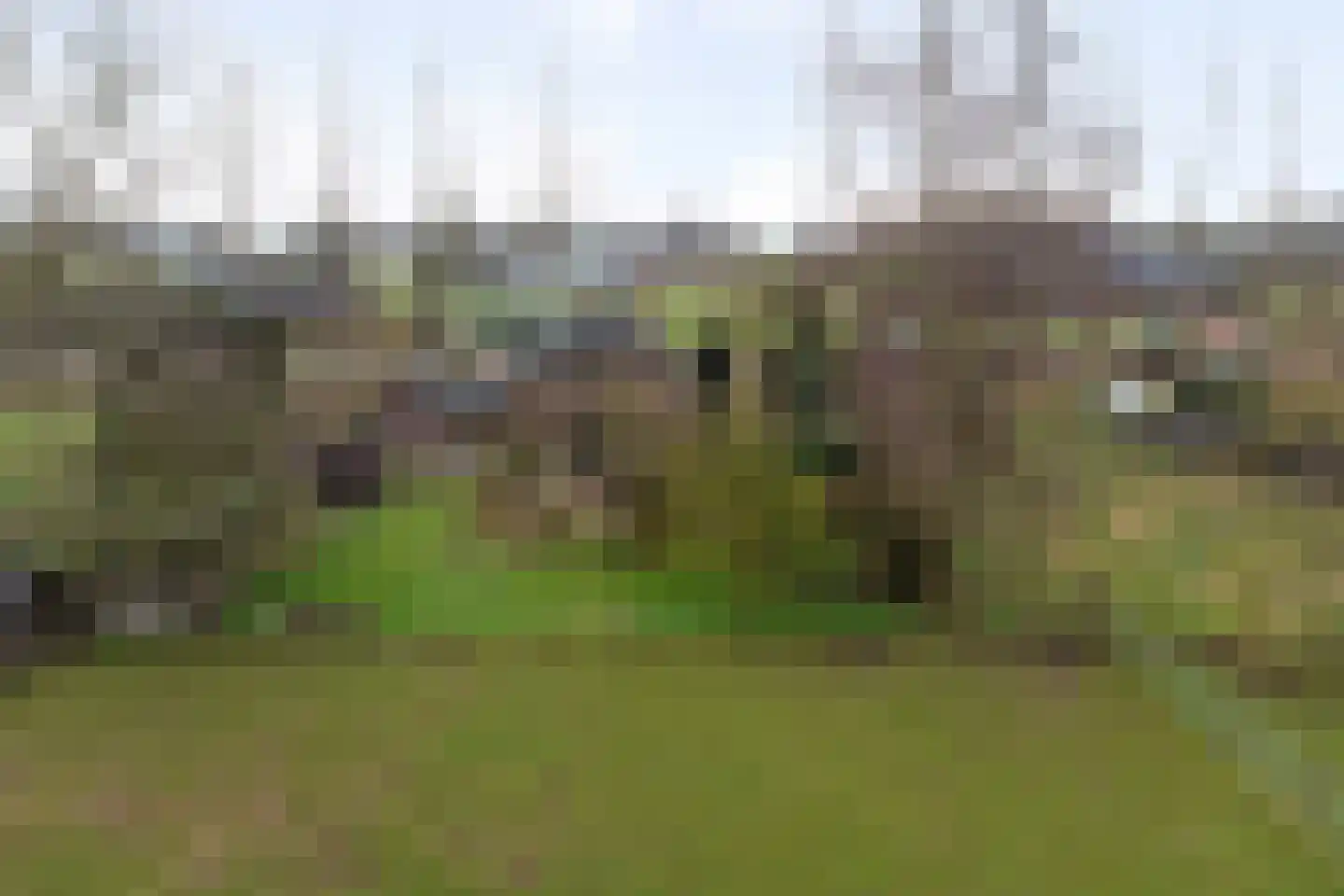 Veluwsedijk 20 Emst thumbnail 41