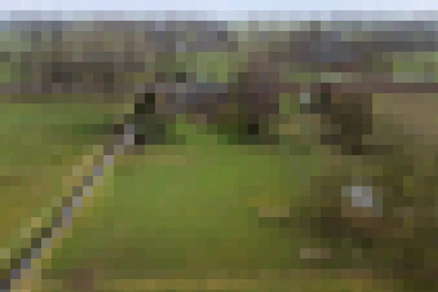 Veluwsedijk 20 Emst thumbnail 42