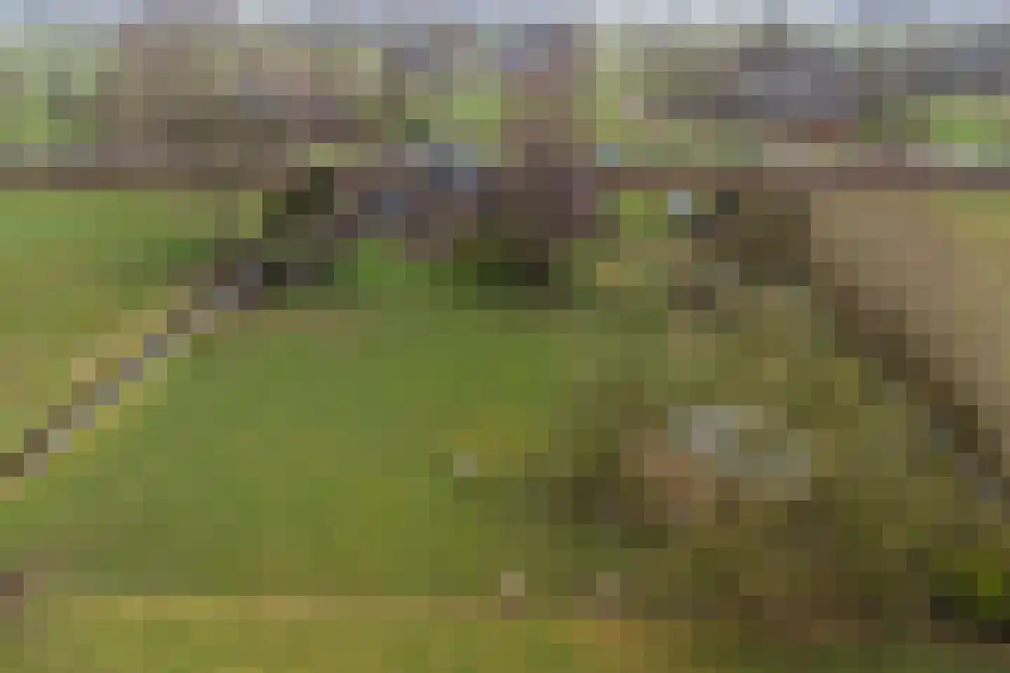 Veluwsedijk 20 Emst thumbnail 43