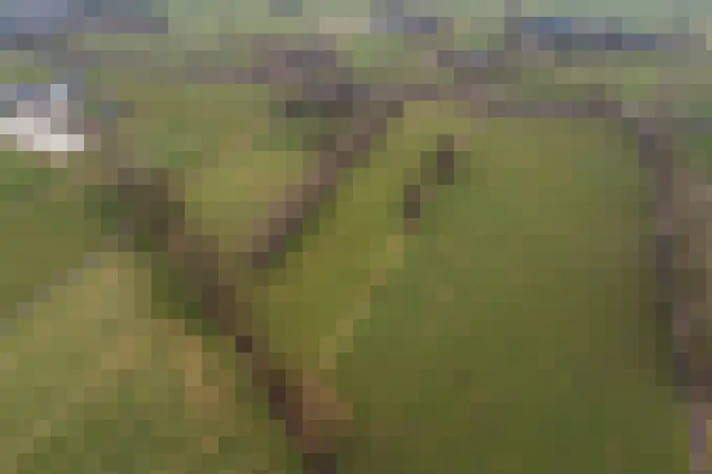 Veluwsedijk 20 Emst thumbnail 45