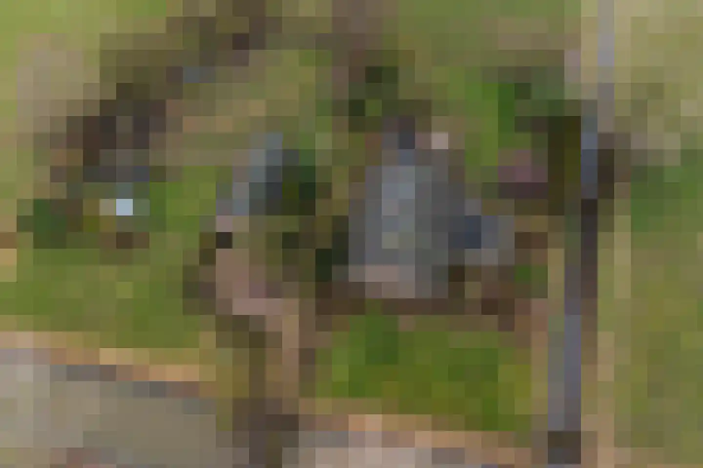 Veluwsedijk 20 Emst thumbnail 46