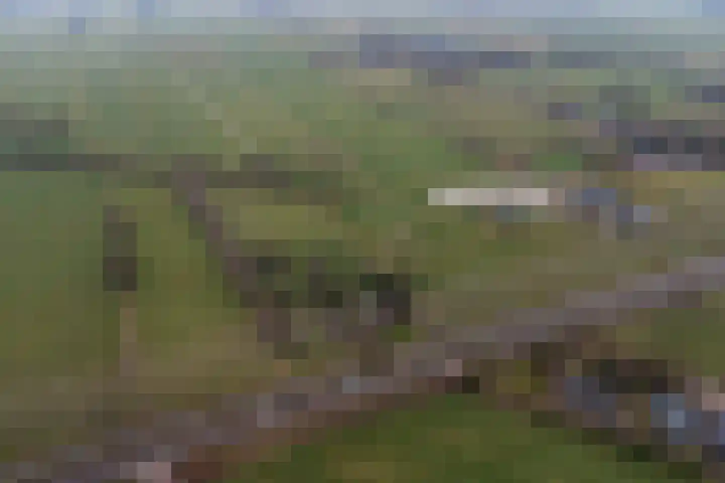 Veluwsedijk 20 Emst thumbnail 47