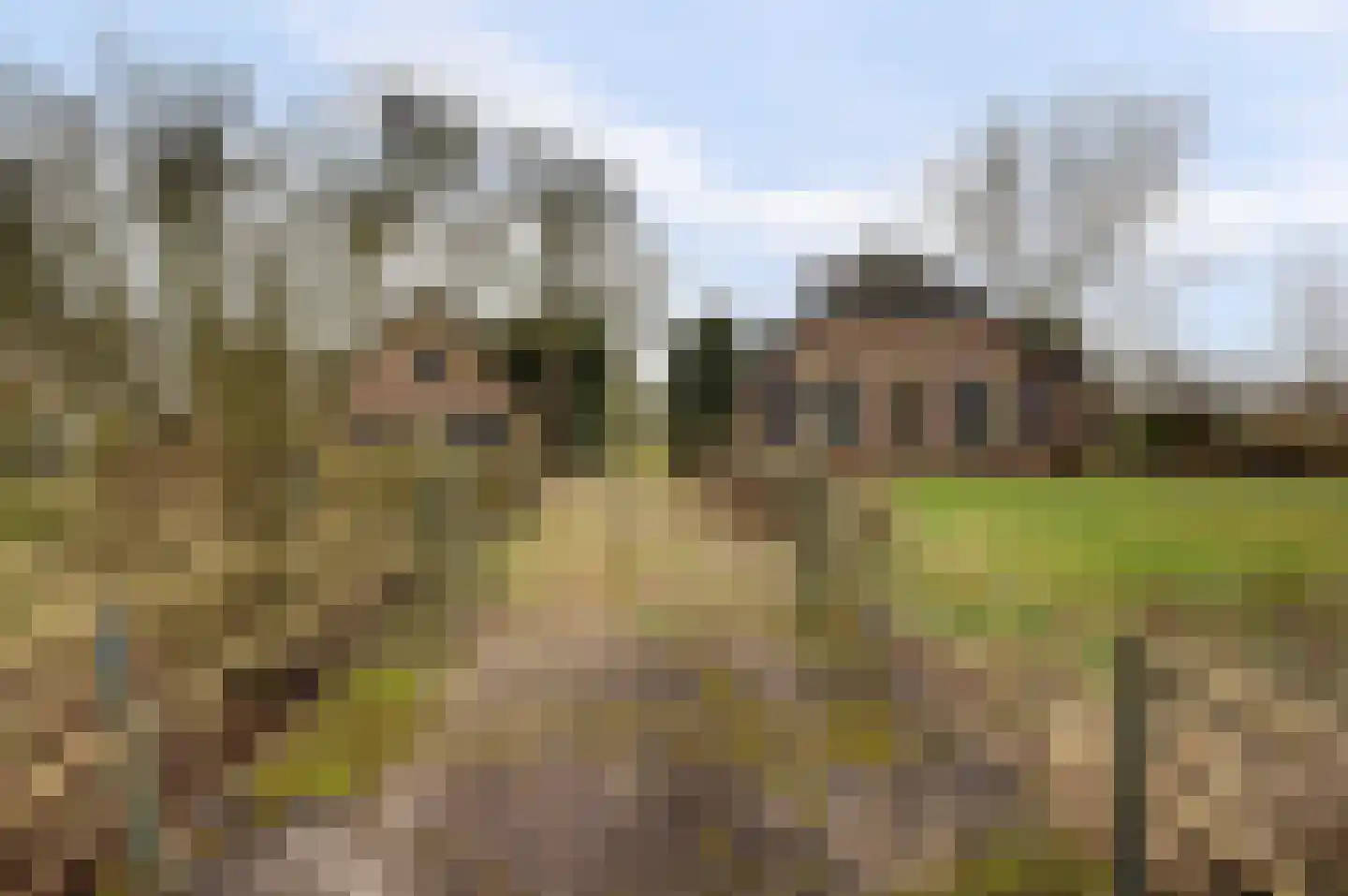 Veluwsedijk 20 Emst thumbnail 5
