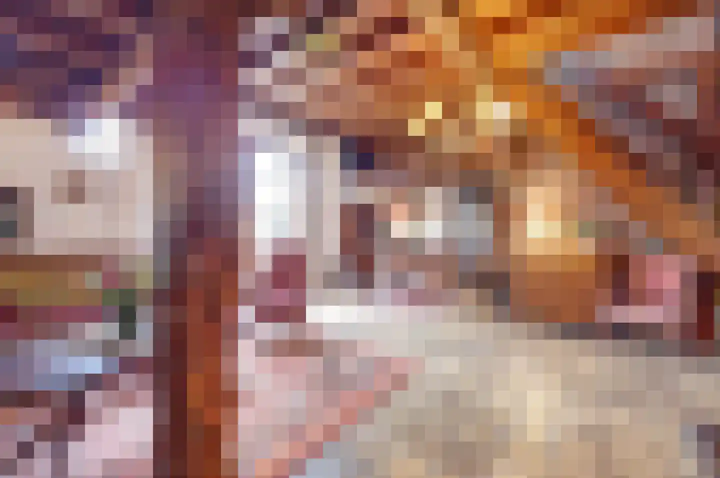 Veluwsedijk 20 Emst thumbnail 9