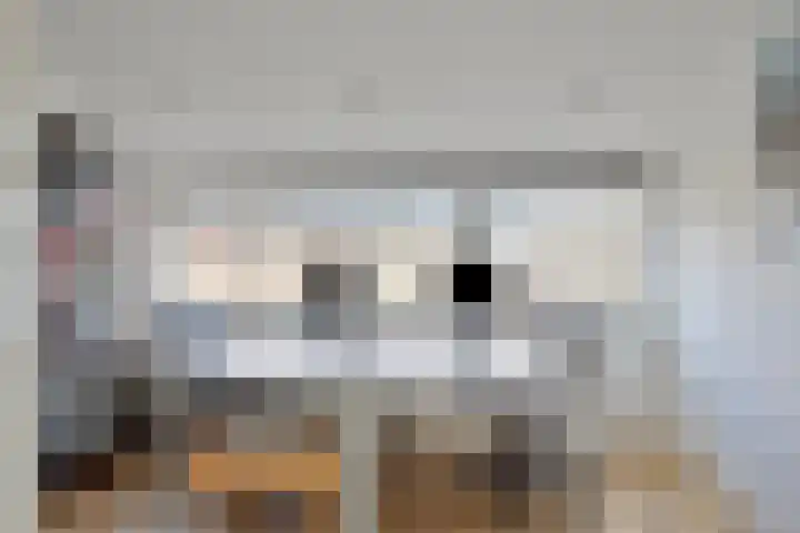 Veluwsedijk 4 Oene
