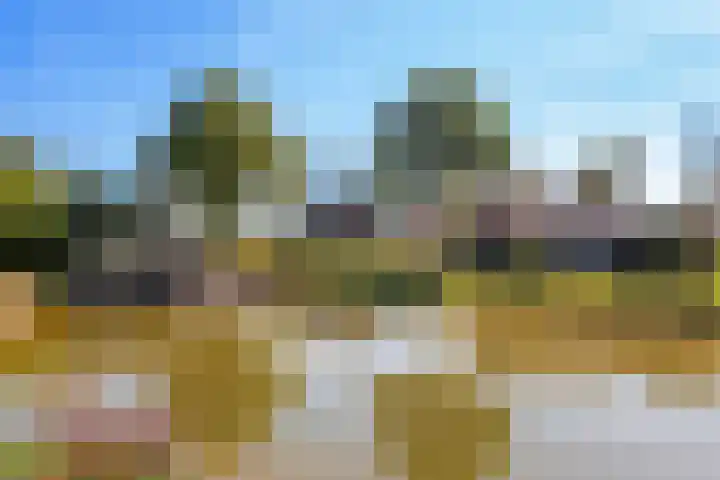 Veluwsedijk 4 Oene thumbnail 10