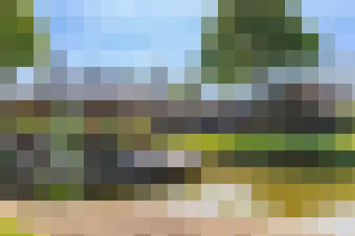 Veluwsedijk 4 Oene thumbnail 11