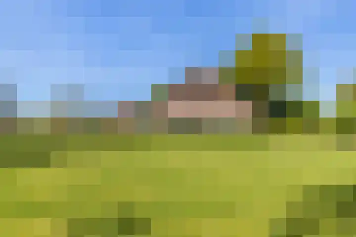 Veluwsedijk 4 Oene foto 2