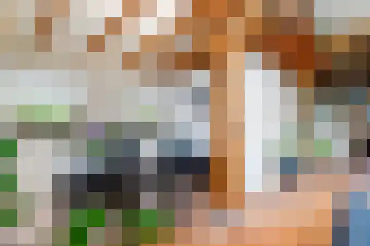 Veluwsedijk 4 Oene thumbnail 24
