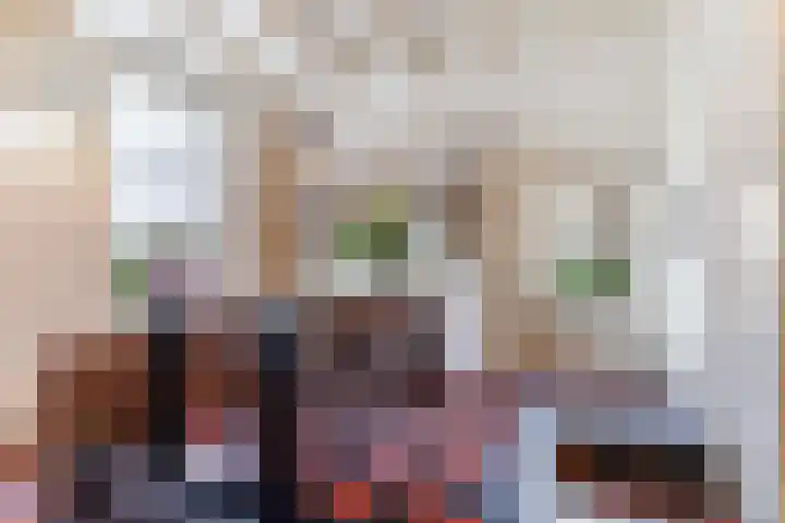 Veluwsedijk 4 Oene thumbnail 29