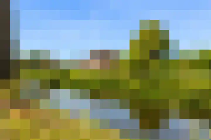 Veluwsedijk 4 Oene foto 3