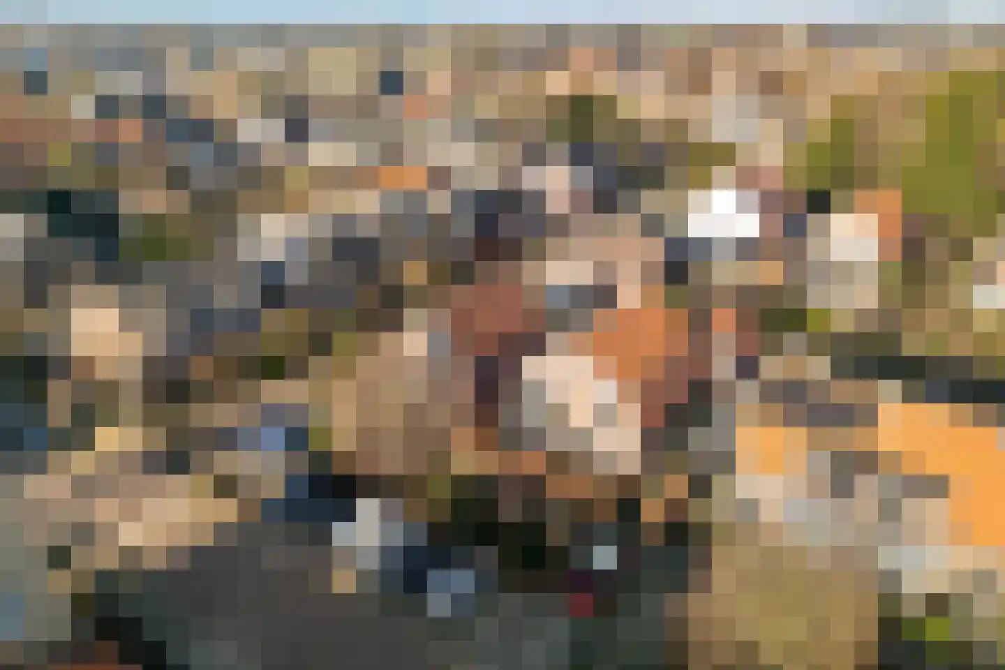 Veluwsedijk 4 Oene thumbnail 32