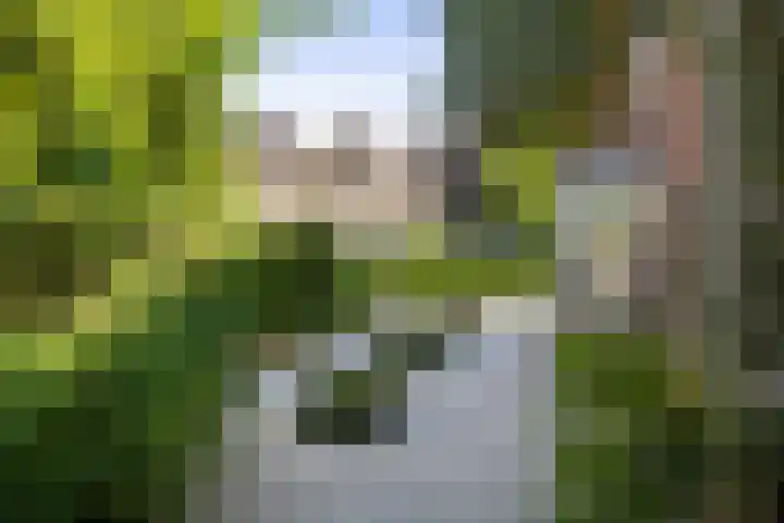 Veluwsedijk 4 Oene thumbnail 59