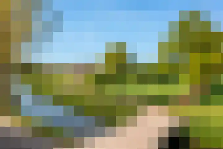 Veluwsedijk 4 Oene thumbnail 6