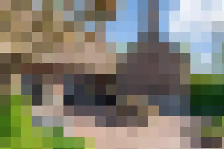 Veluwsedijk 4 Oene thumbnail 7