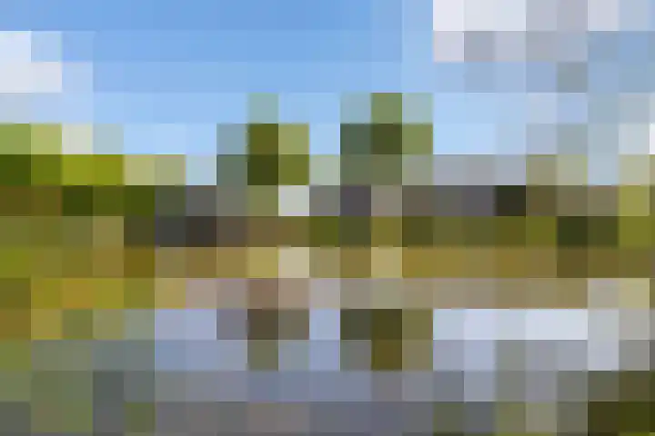 Veluwsedijk 4 Oene thumbnail 9