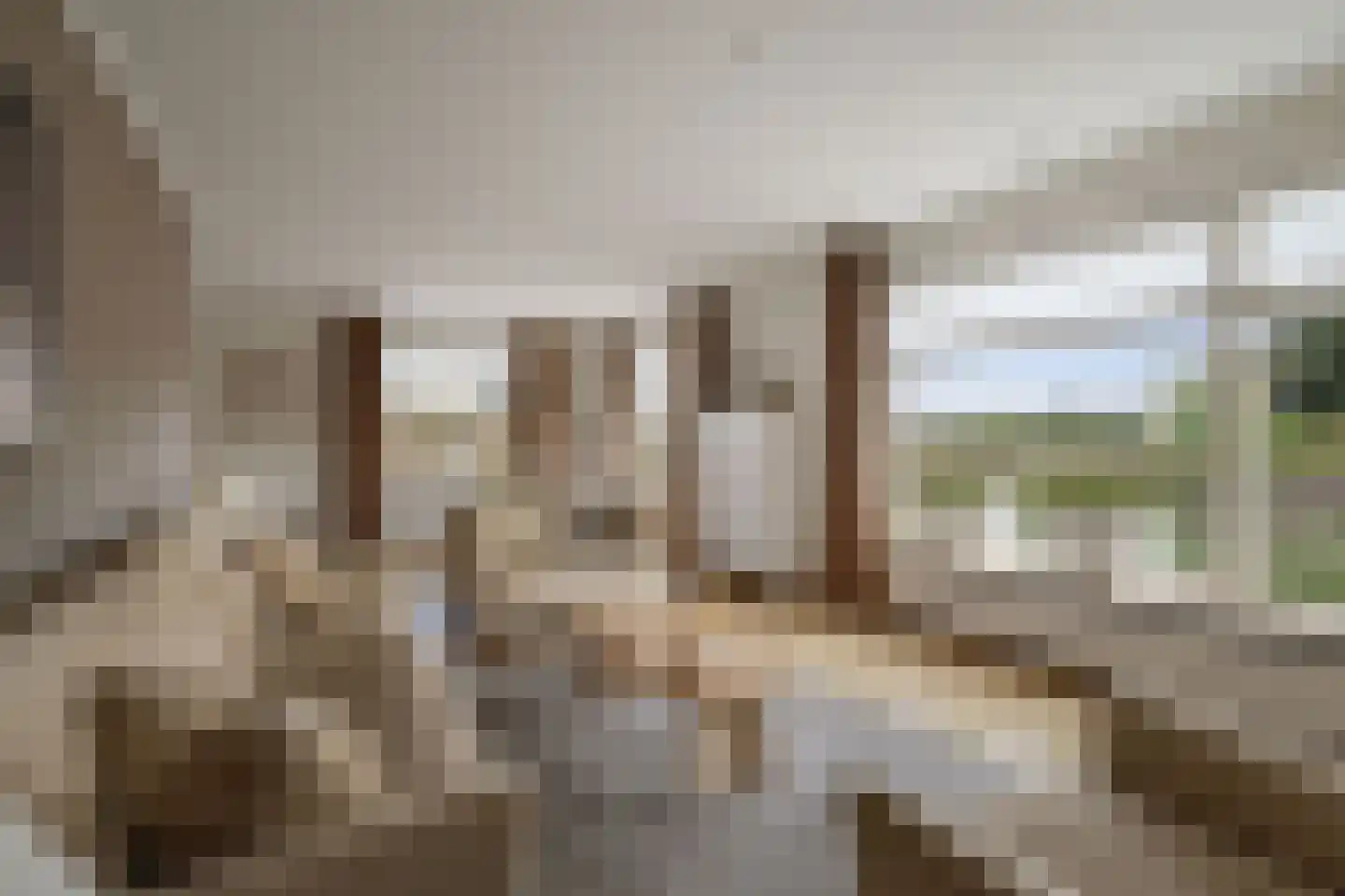Veluwsedijk 5 Nijbroek thumbnail 14