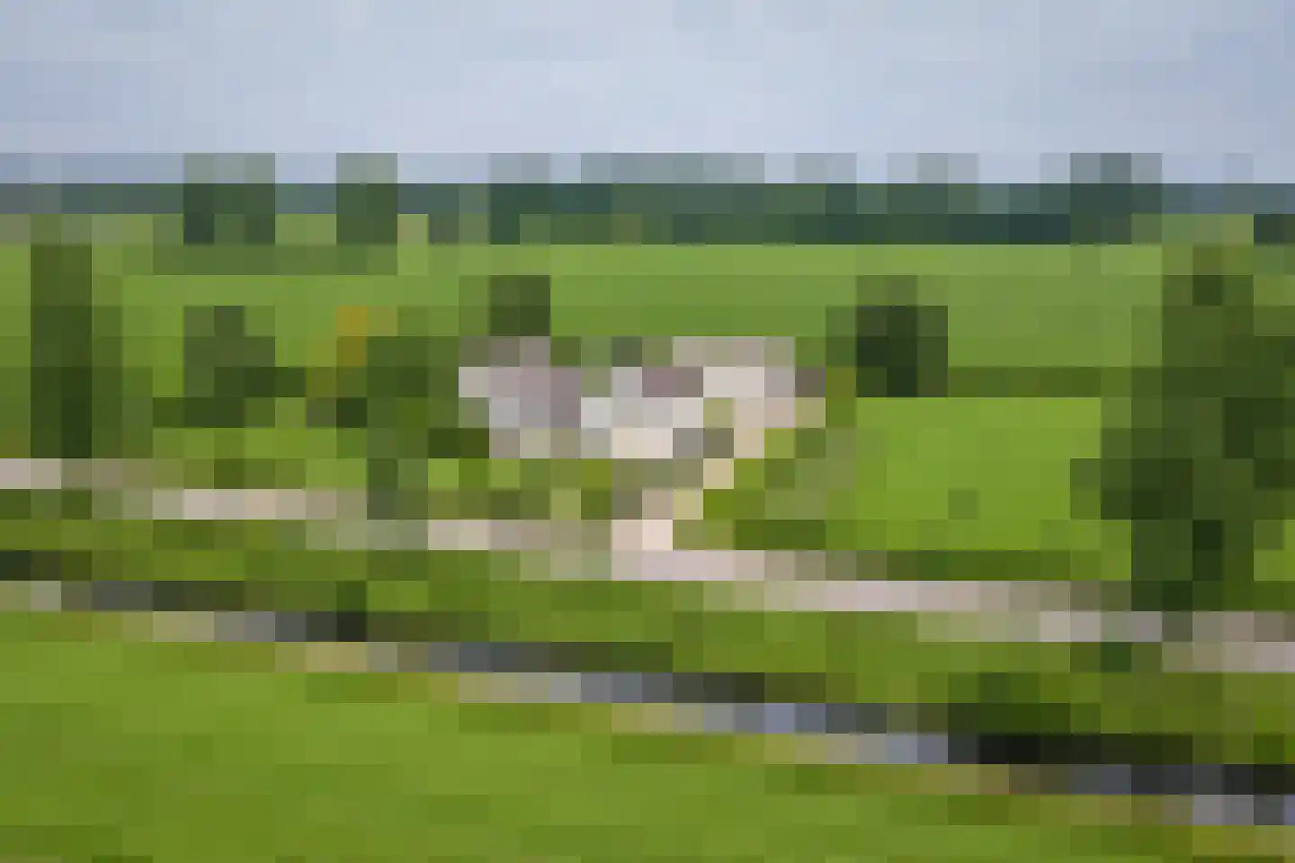 Veluwsedijk 5 Nijbroek foto 2