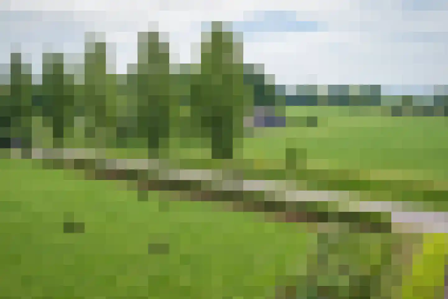 Veluwsedijk 5 Nijbroek thumbnail 24