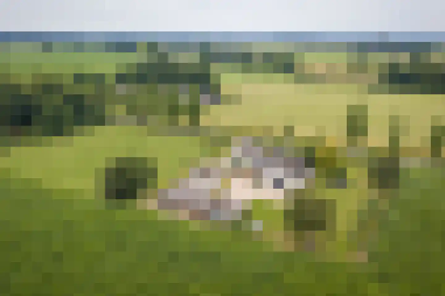 Veluwsedijk 5 Nijbroek thumbnail 30