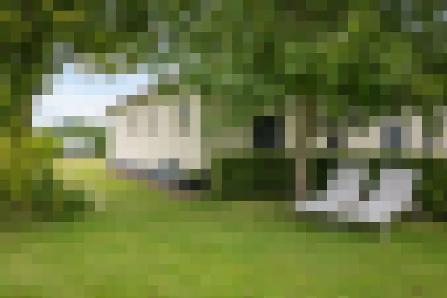 Veluwsedijk 5 Nijbroek thumbnail 43