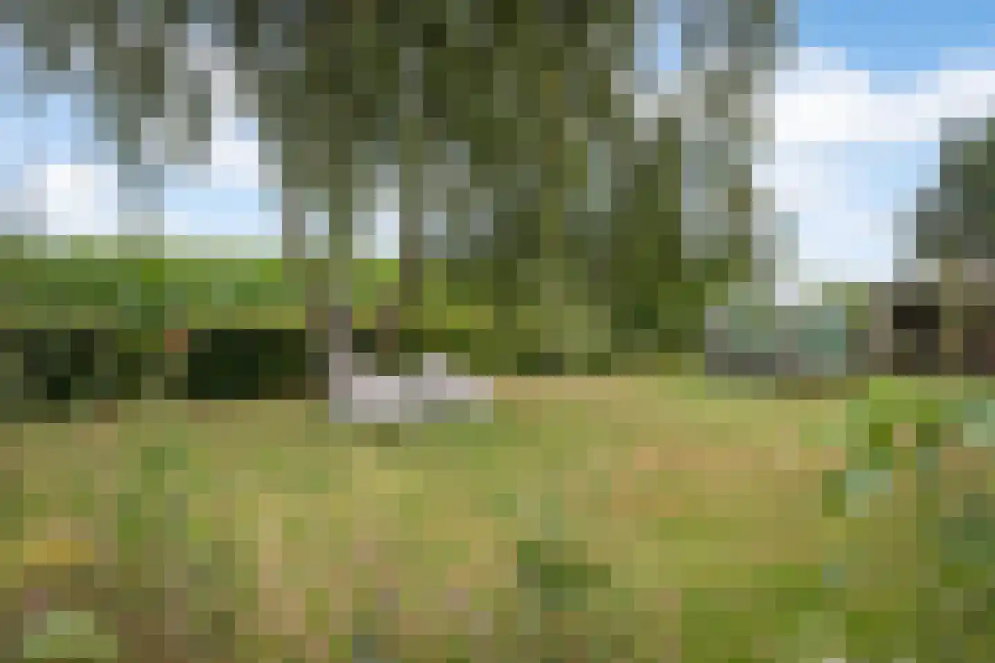 Veluwsedijk 5 Nijbroek thumbnail 44