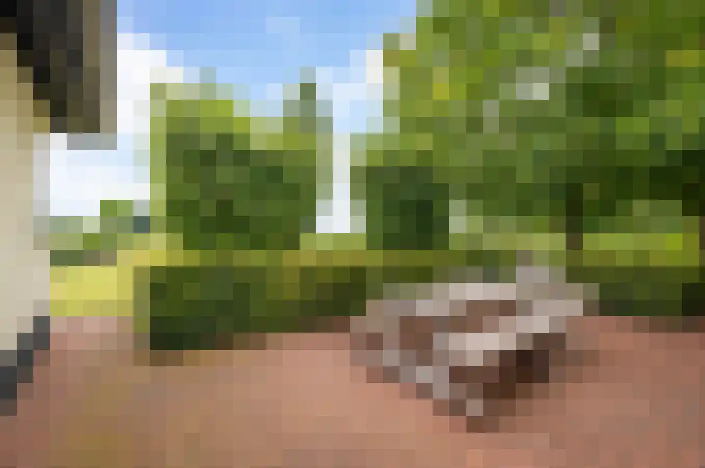 Veluwsedijk 5 Nijbroek thumbnail 46