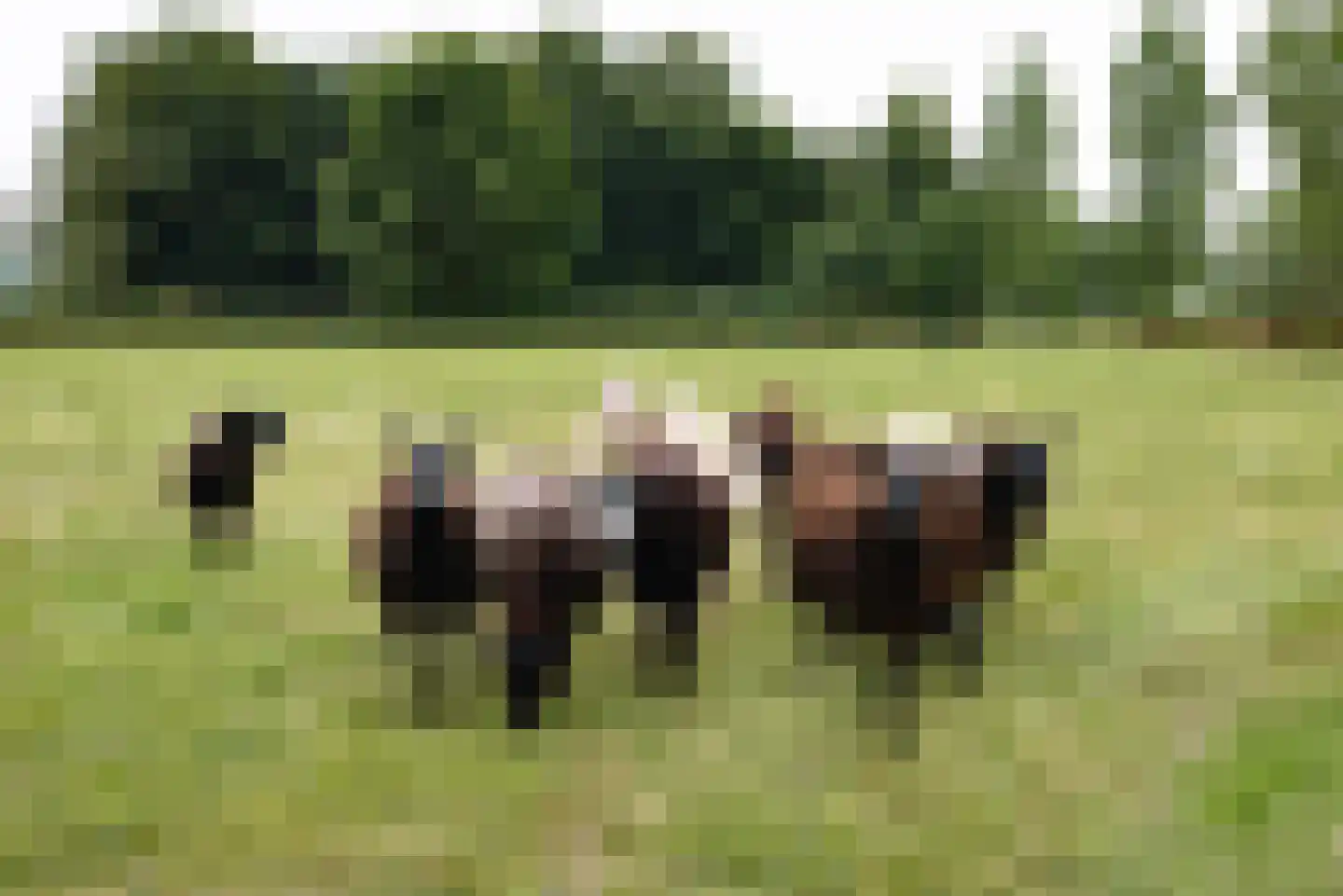 Veluwsedijk 5 Nijbroek thumbnail 47