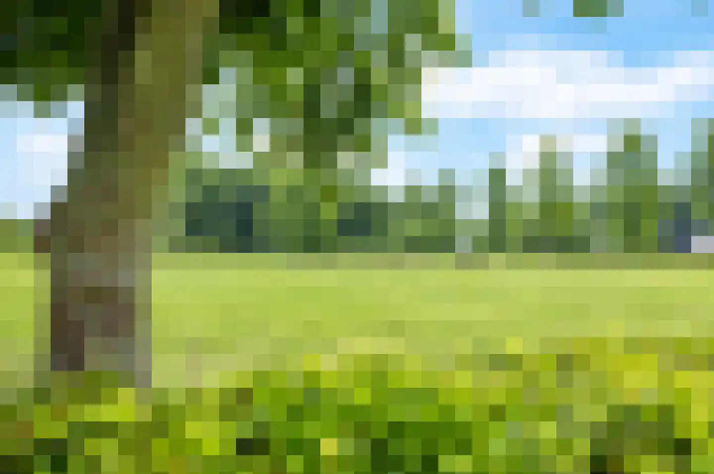 Veluwsedijk 5 Nijbroek thumbnail 48