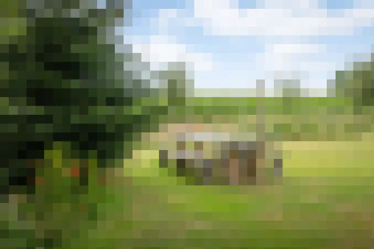Veluwsedijk 5 Nijbroek thumbnail 49
