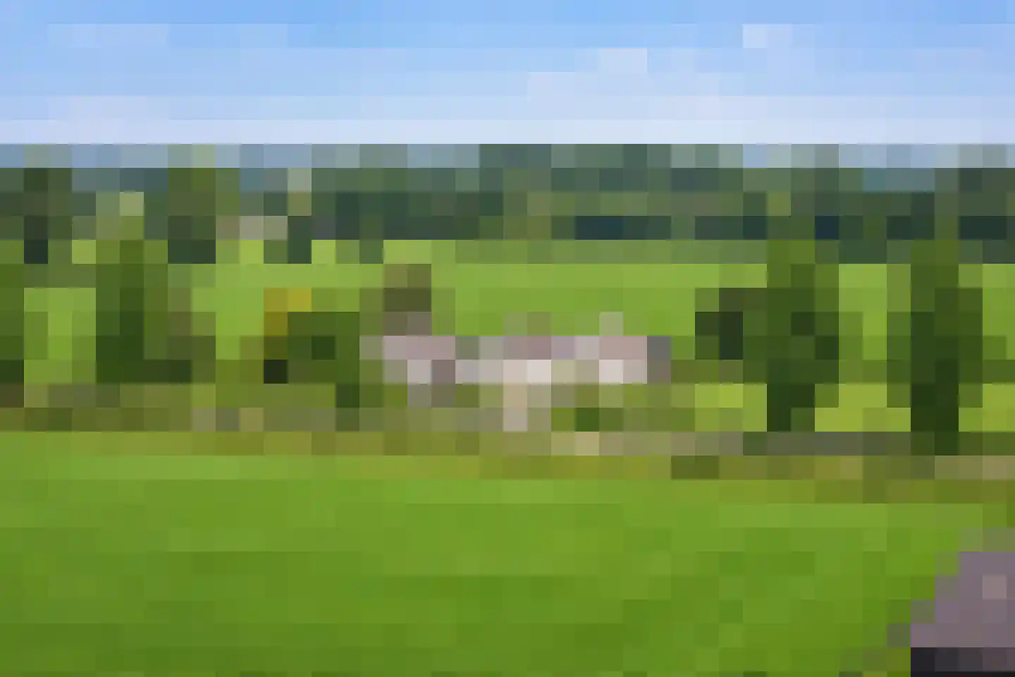Veluwsedijk 5 Nijbroek thumbnail 50