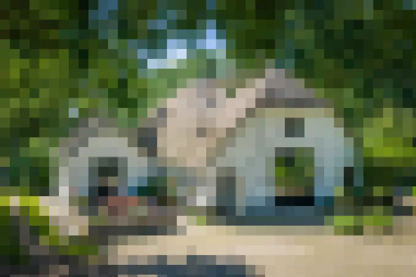 Veluwsedijk 9 Nijbroek thumbnail 27