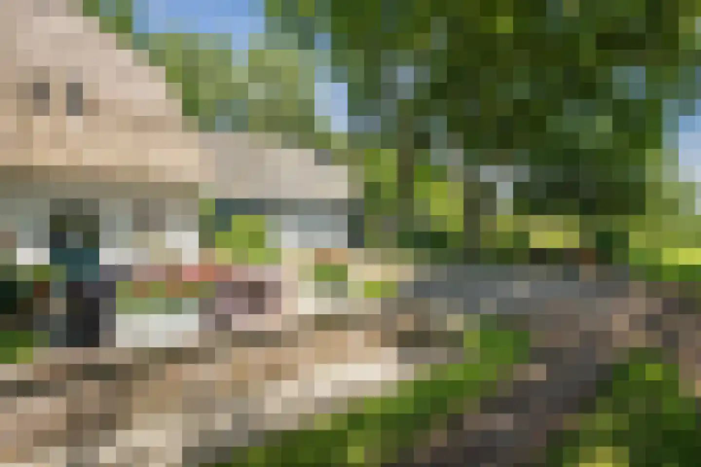 Veluwsedijk 9 Nijbroek thumbnail 28
