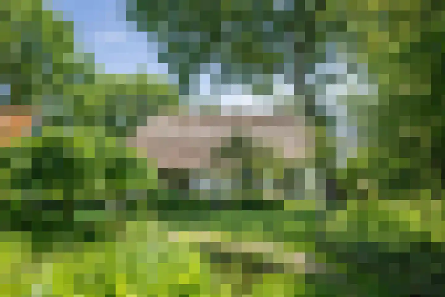 Veluwsedijk 9 Nijbroek thumbnail 39