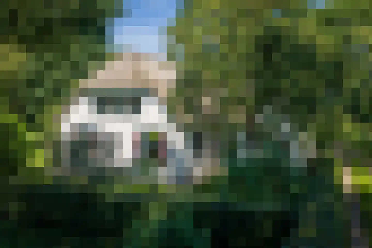Veluwsedijk 9 Nijbroek thumbnail 4